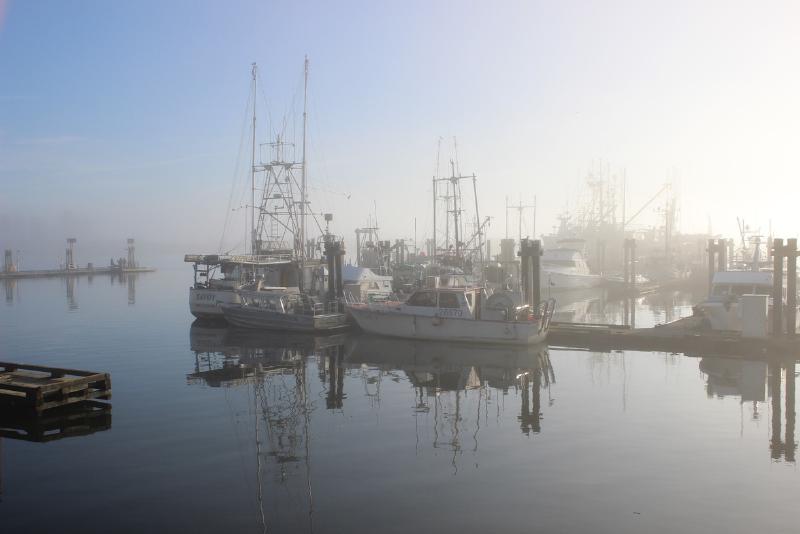 Fishing boats moored along the waterfront in Steveston