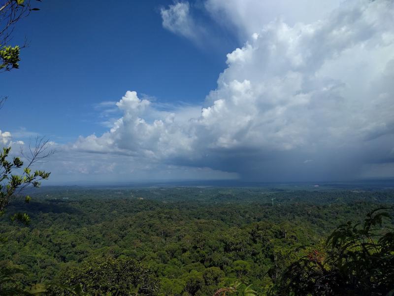 A view from the Mountains in Lambir Hills National Park