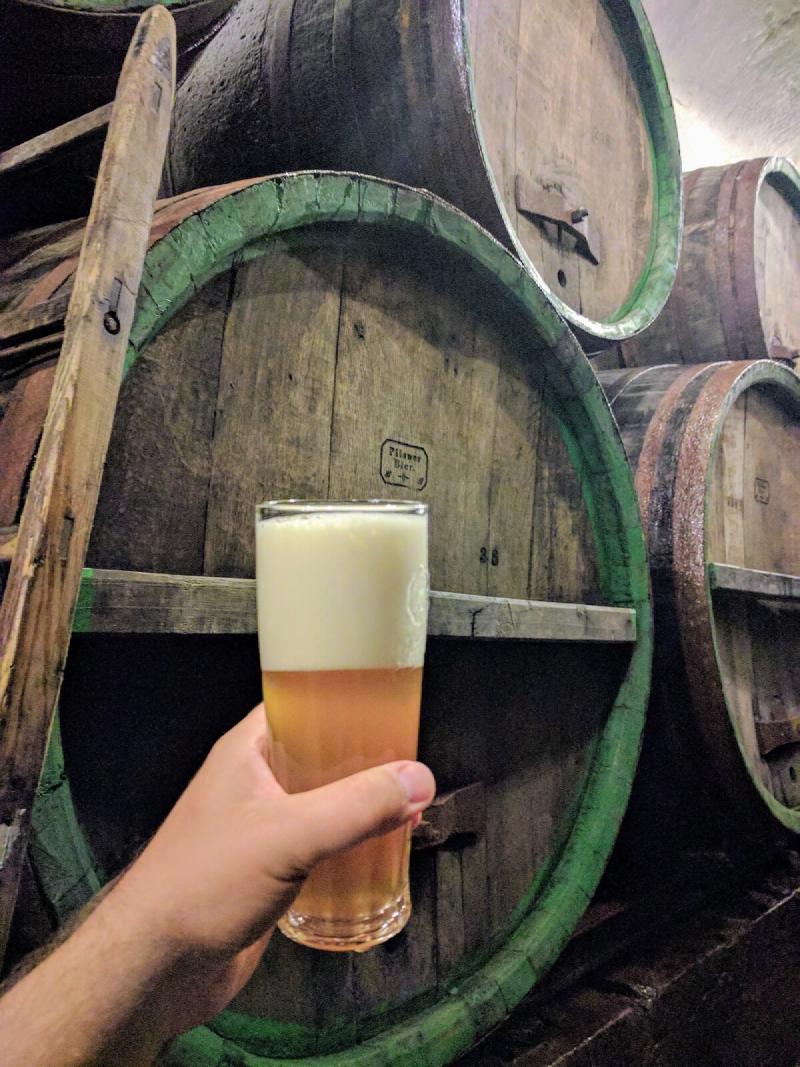 Beer cellar or brewery interior in Pilsen